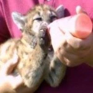 Meet your Posher, Dean